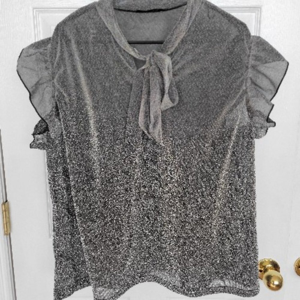 Shein Silver Sheer Tie Front Flowy Blouse 2x